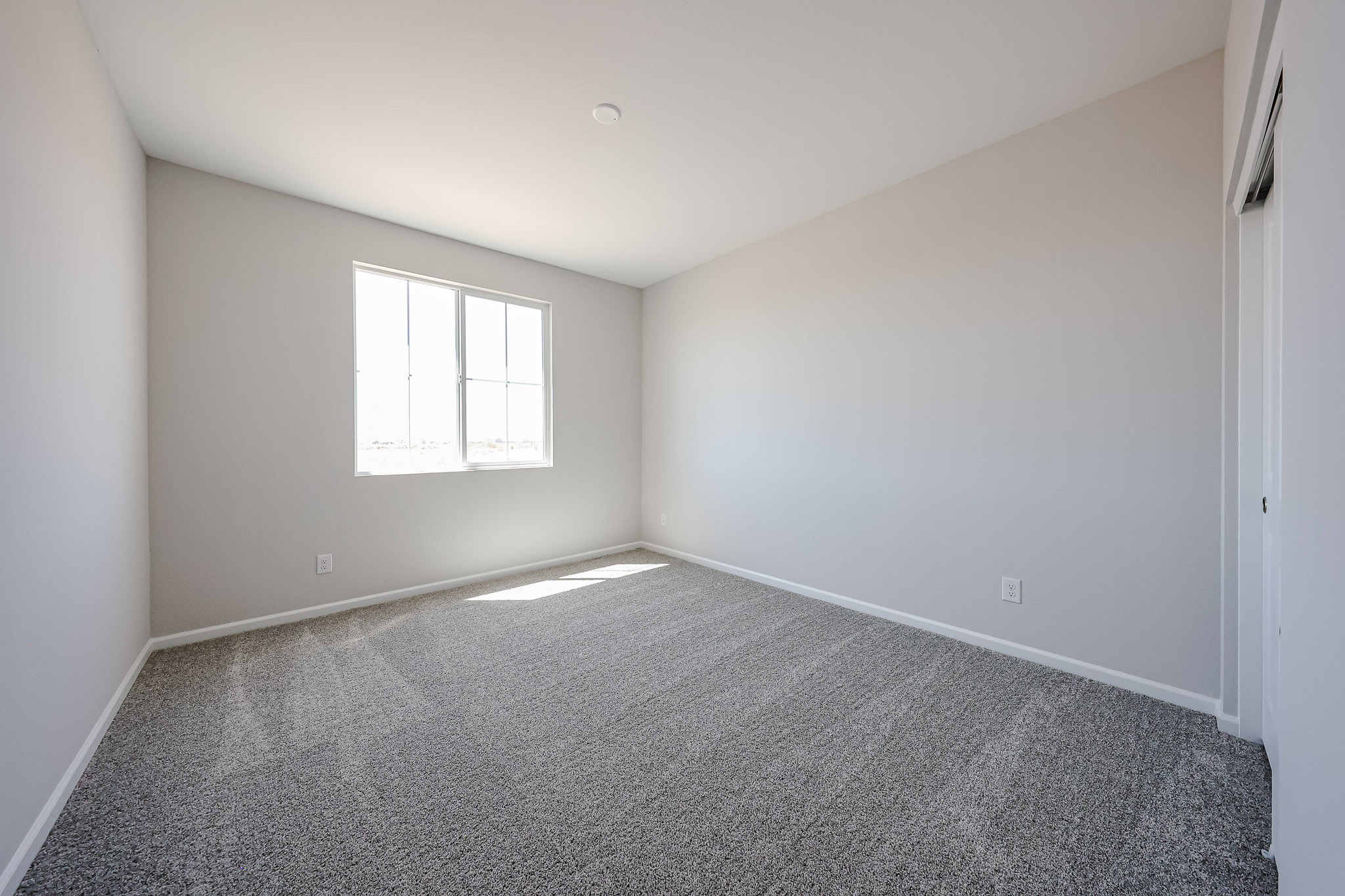 A room with a carpet and windows.