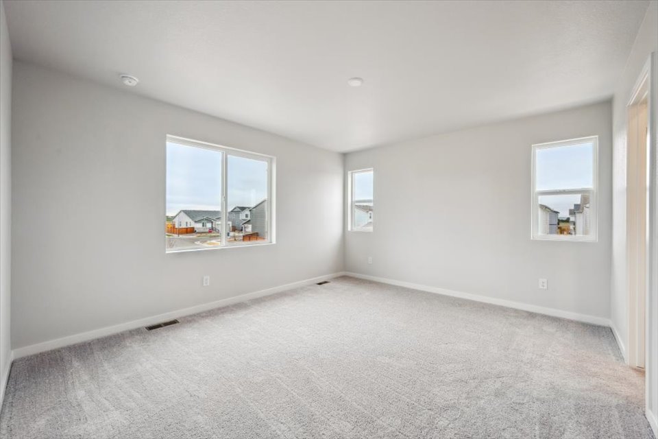 A room with a carpet and windows.