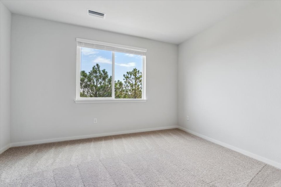A room with a window and a tree outside.