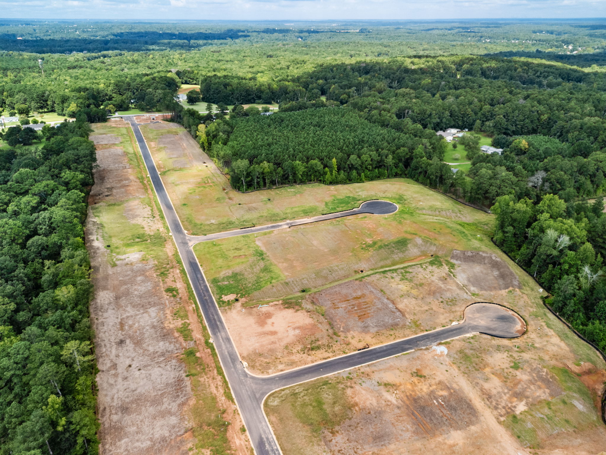A road with trees and grass.