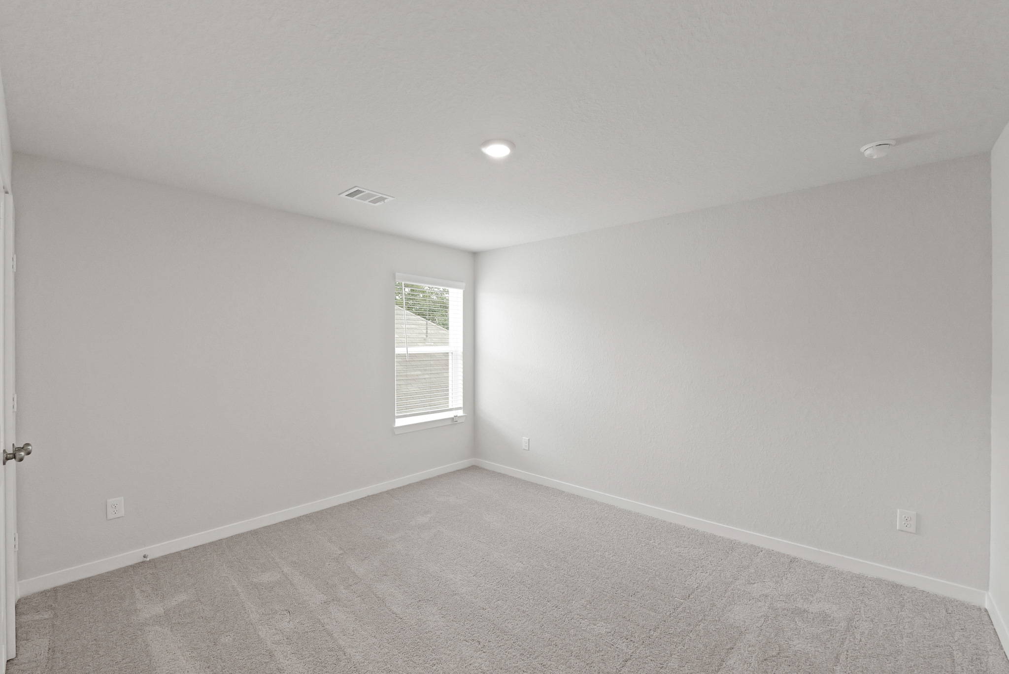 A room with a carpet and windows.